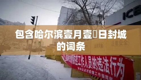 包含哈尔滨壹月壹無日封城的词条