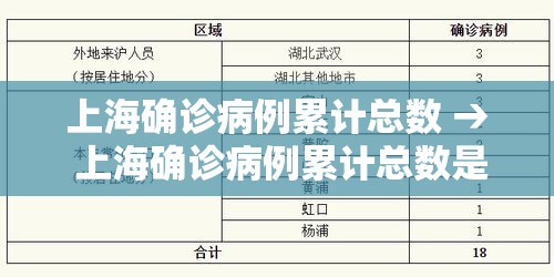 上海确诊病例累计总数 → 上海确诊病例累计总数是多少