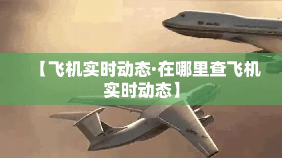 【飞机实时动态·在哪里查飞机实时动态】