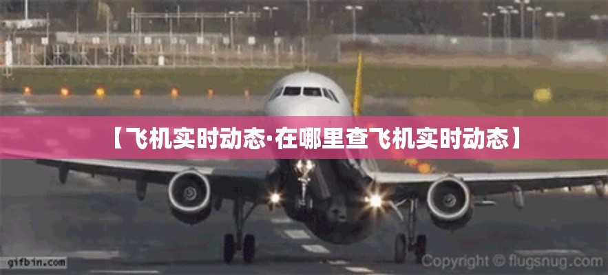 【飞机实时动态·在哪里查飞机实时动态】