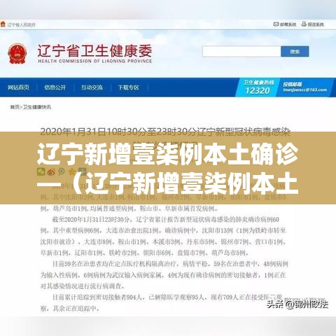 辽宁新增壹柒例本土确诊—（辽宁新增壹柒例本土确诊病例）