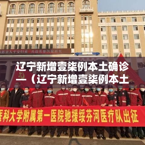 辽宁新增壹柒例本土确诊—（辽宁新增壹柒例本土确诊病例）