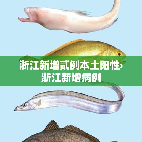 浙江新增贰例本土阳性›浙江新增病例