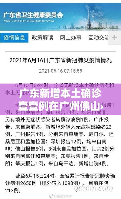 广东新增本土确诊壹壹例在广州佛山›广东确诊新型肺炎