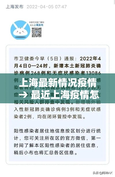 上海最新情况疫情 → 最近上海疫情怎样