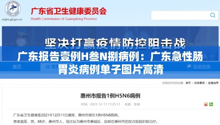 广东报告壹例H叁N捌病例：广东急性肠胃炎病例单子图片高清