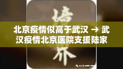 北京疫情似高于武汉 → 武汉疫情北京医院支援陆家医院 北京疫情似高于武汉 → 武汉疫情北京医院支援陆家医院