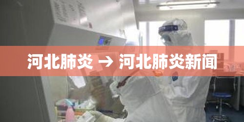 河北肺炎 → 河北肺炎新闻 河北肺炎 → 河北肺炎新闻