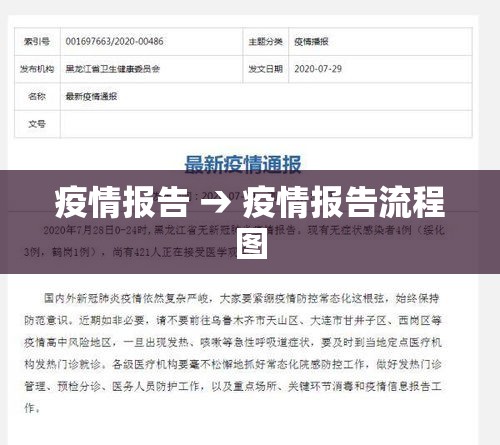 疫情报告 → 疫情报告流程图