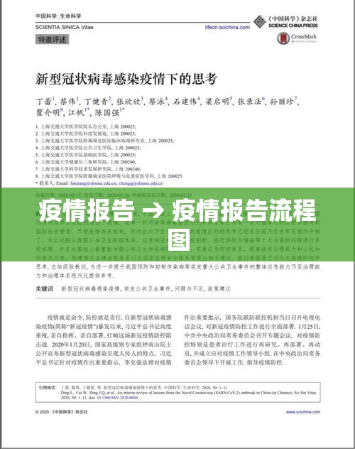 疫情报告 → 疫情报告流程图