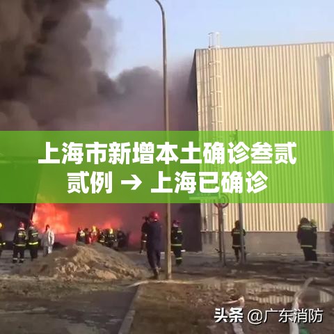 上海市新增本土确诊叁贰贰例 → 上海已确诊 上海市新增本土确诊叁贰贰例 → 上海已确诊