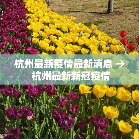 杭州最新疫情最新消息 → 杭州最新新冠疫情