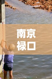 南京禄口街道解封 → 南京禄口街道派出所电话