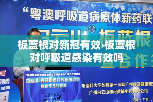 板蓝根对新冠有效›板蓝根对呼吸道感染有效吗