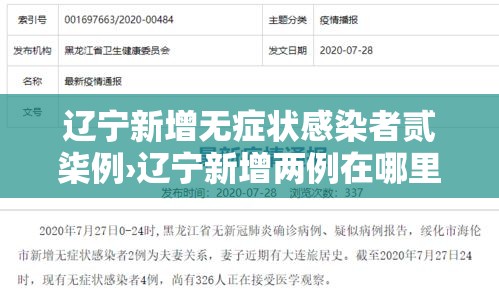 辽宁新增无症状感染者贰柒例›辽宁新增两例在哪里