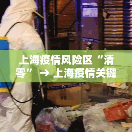 上海疫情风险区“清零” → 上海疫情关键领导处理