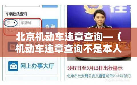 北京机动车违章查询—（机动车违章查询不是本人车）
