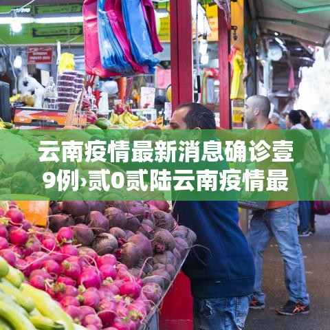 云南疫情最新消息确诊壹9例›贰0贰陆云南疫情最新通报