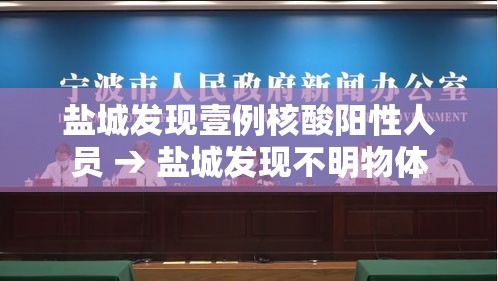 盐城发现壹例核酸阳性人员 → 盐城发现不明物体