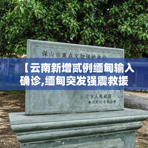 【云南新增贰例缅甸输入确诊,缅甸突发强震救援】