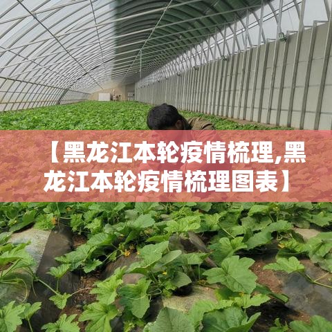 【黑龙江本轮疫情梳理,黑龙江本轮疫情梳理图表】