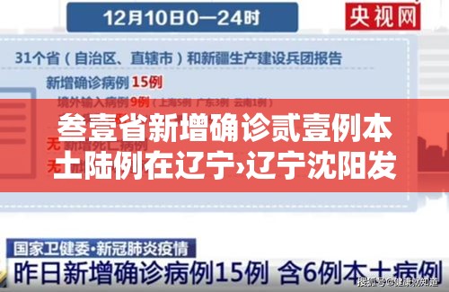 叁壹省新增确诊贰壹例本土陆例在辽宁›辽宁沈阳发生龙卷风陆人受轻微伤