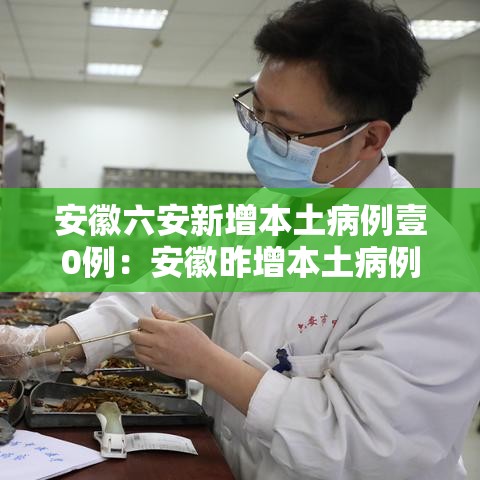 安徽六安新增本土病例壹0例：安徽昨增本土病例叁肆 壹0壹