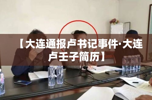 【大连通报卢书记事件·大连卢壬子简历】