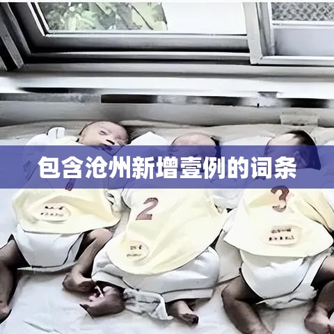 包含沧州新增壹例的词条