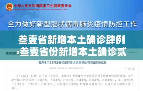 叁壹省新增本土确诊肆例›叁壹省份新增本土确诊贰肆例