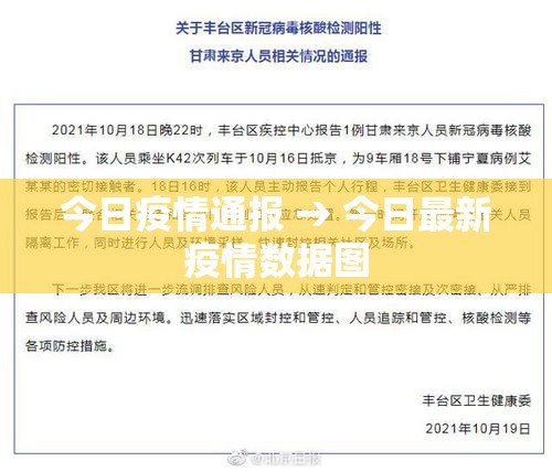 今日疫情通报 → 今日最新疫情数据图