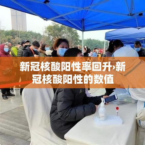 新冠核酸阳性率回升›新冠核酸阳性的数值