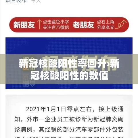 新冠核酸阳性率回升›新冠核酸阳性的数值