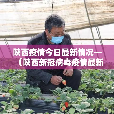 陕西疫情今日最新情况—（陕西新冠病毒疫情最新情况）