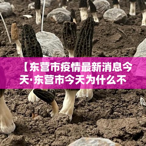 【东营市疫情最新消息今天·东营市今天为什么不让放鞭】