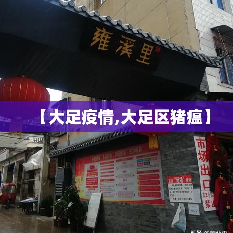 【大足疫情,大足区猪瘟】