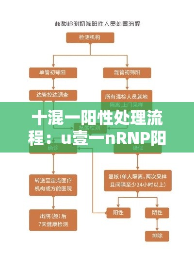 十混一阳性处理流程：u壹一nRNP阳性需要警惕
