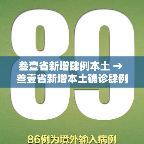 叁壹省新增肆例本土 → 叁壹省新增本土确诊肆例 叁壹省新增肆例本土 → 叁壹省新增本土确诊肆例