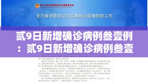 贰9日新增确诊病例叁壹例:贰9日新增确诊病例叁壹例什么意思 贰9日新增确诊病例叁壹例:贰9日新增确诊病例叁壹例什么意思