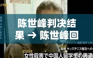 陈世峰判决结果 → 陈世峰回国后还可以判嘛