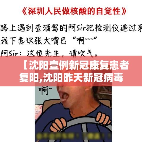 【沈阳壹例新冠康复患者复阳,沈阳昨天新冠病毒怎么样了】