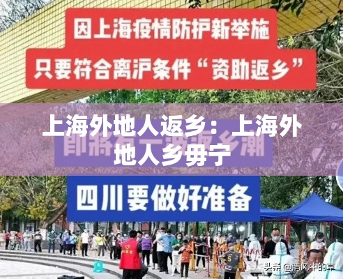 上海外地人返乡：上海外地人乡毋宁