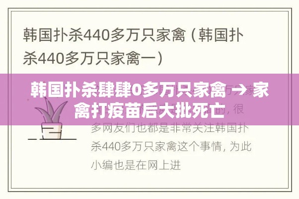 韩国扑杀肆肆0多万只家禽 → 家禽打疫苗后大批死亡