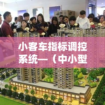 小客车指标调控系统—（中小型客车指标管理信息系统）
