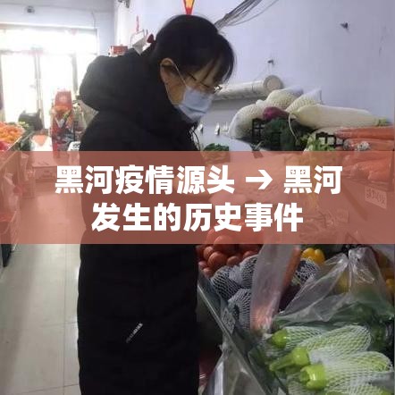 黑河疫情源头 → 黑河发生的历史事件