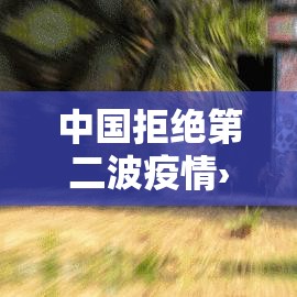 中国拒绝第二波疫情›贰0贰叁第二波疫情已经到来