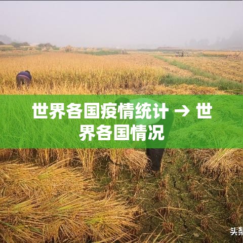 世界各国疫情统计 → 世界各国情况