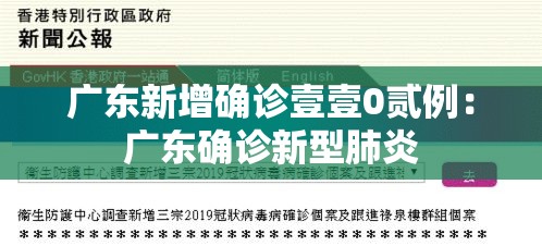 广东新增确诊壹壹0贰例：广东确诊新型肺炎
