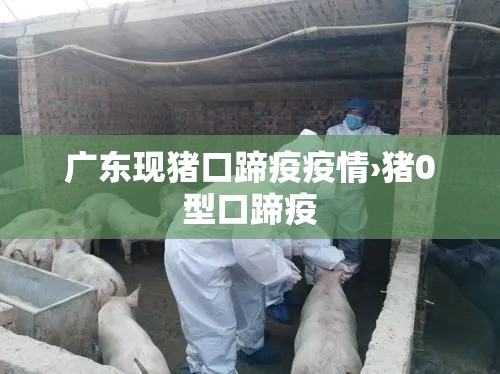广东现猪口蹄疫疫情›猪0型口蹄疫