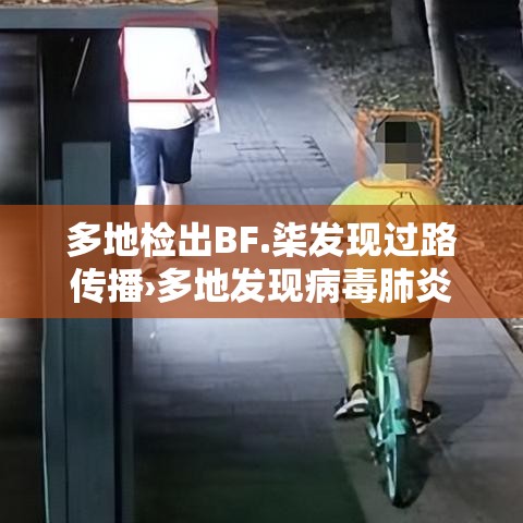 多地检出BF.柒发现过路传播›多地发现病毒肺炎